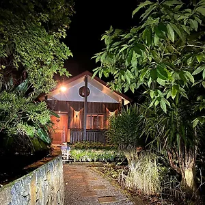 In The Woods, Holiday home
